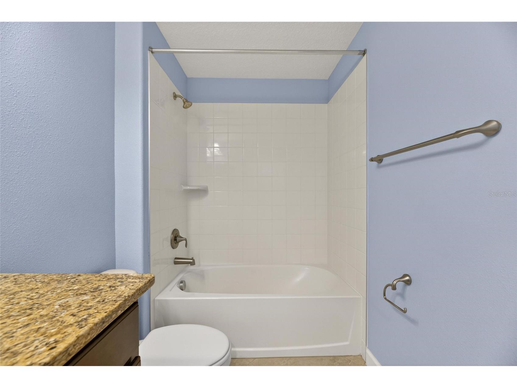 13168 Green Violet Drive Riverview FL 33579 TB8501467 image55
