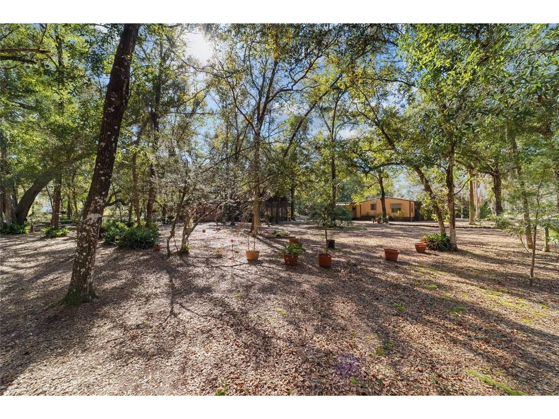 13168 NE 19th Lane Silver Springs FL 34488 OM715208 image72