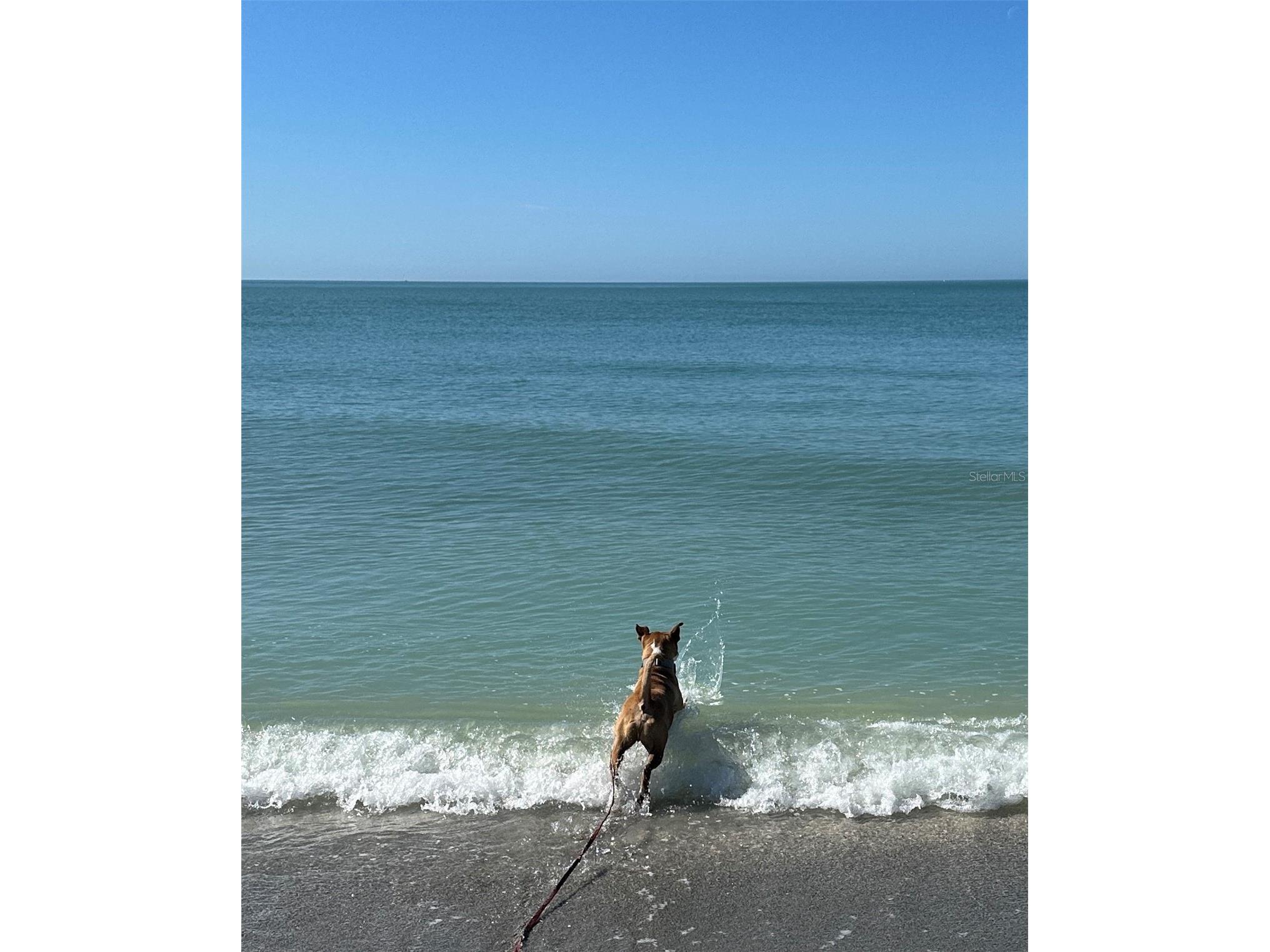 1317 Barbara Drive Venice FL 34285 N6143964 image29