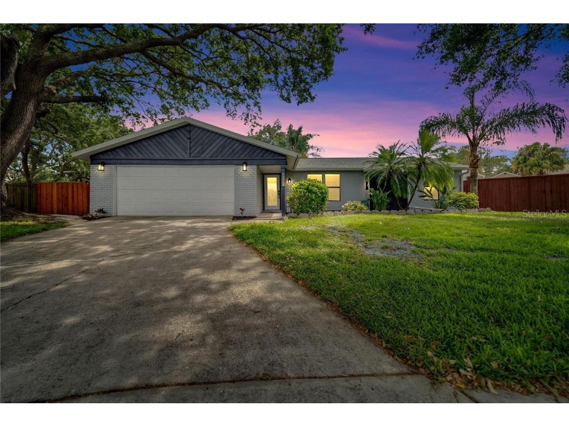 1317 Borden Court Valrico FL 33594 T3435428 image1