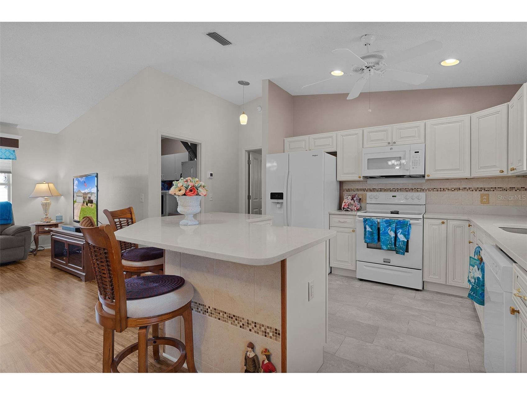 1317 Carvello Drive The Villages FL 32162 G5113490 image13
