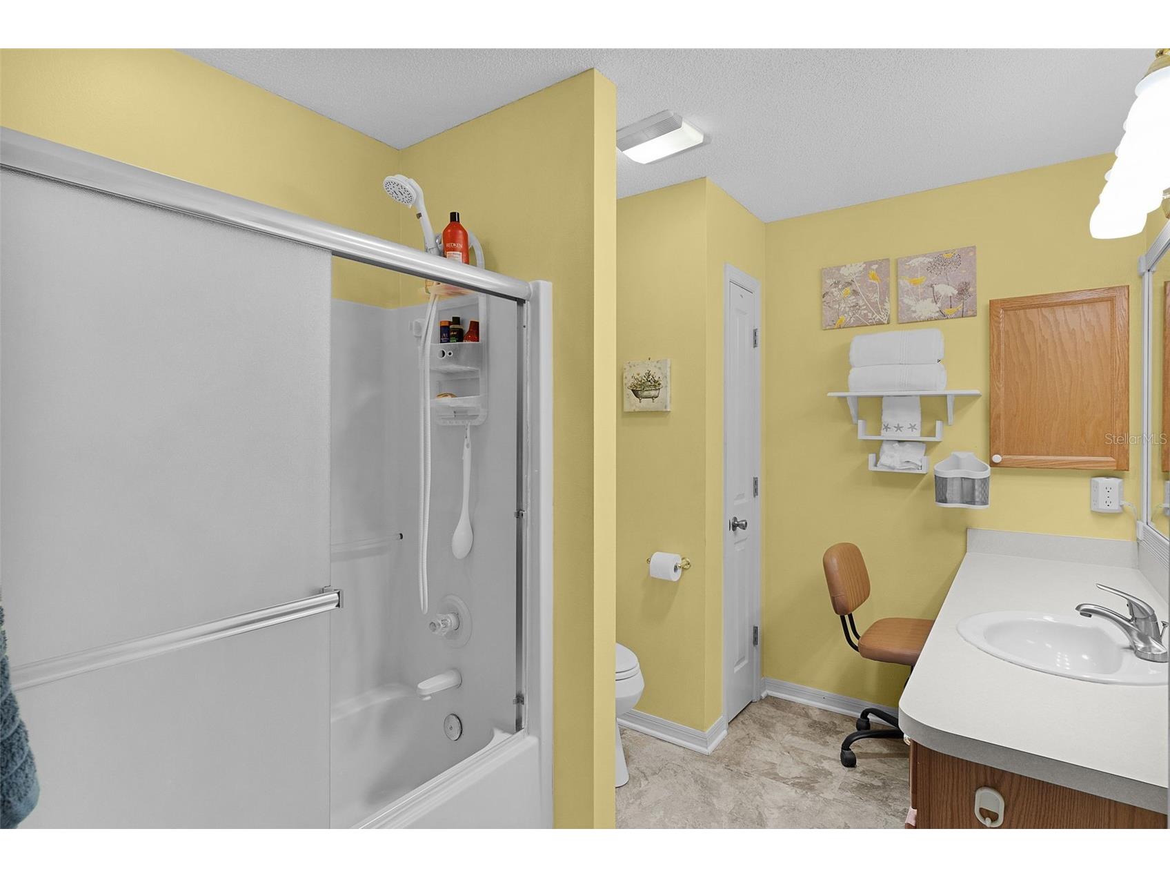 1317 Carvello Drive The Villages FL 32162 G5113490 image23