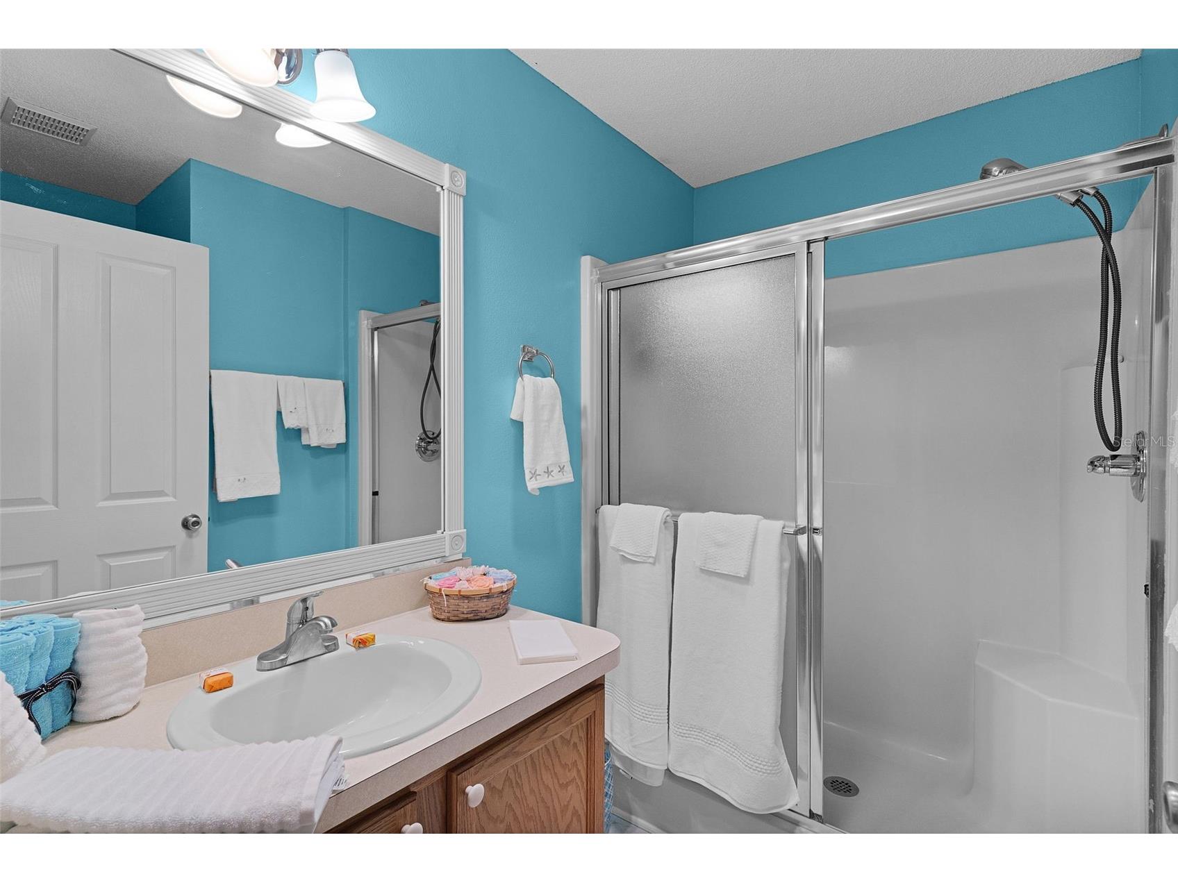1317 Carvello Drive The Villages FL 32162 G5113490 image27