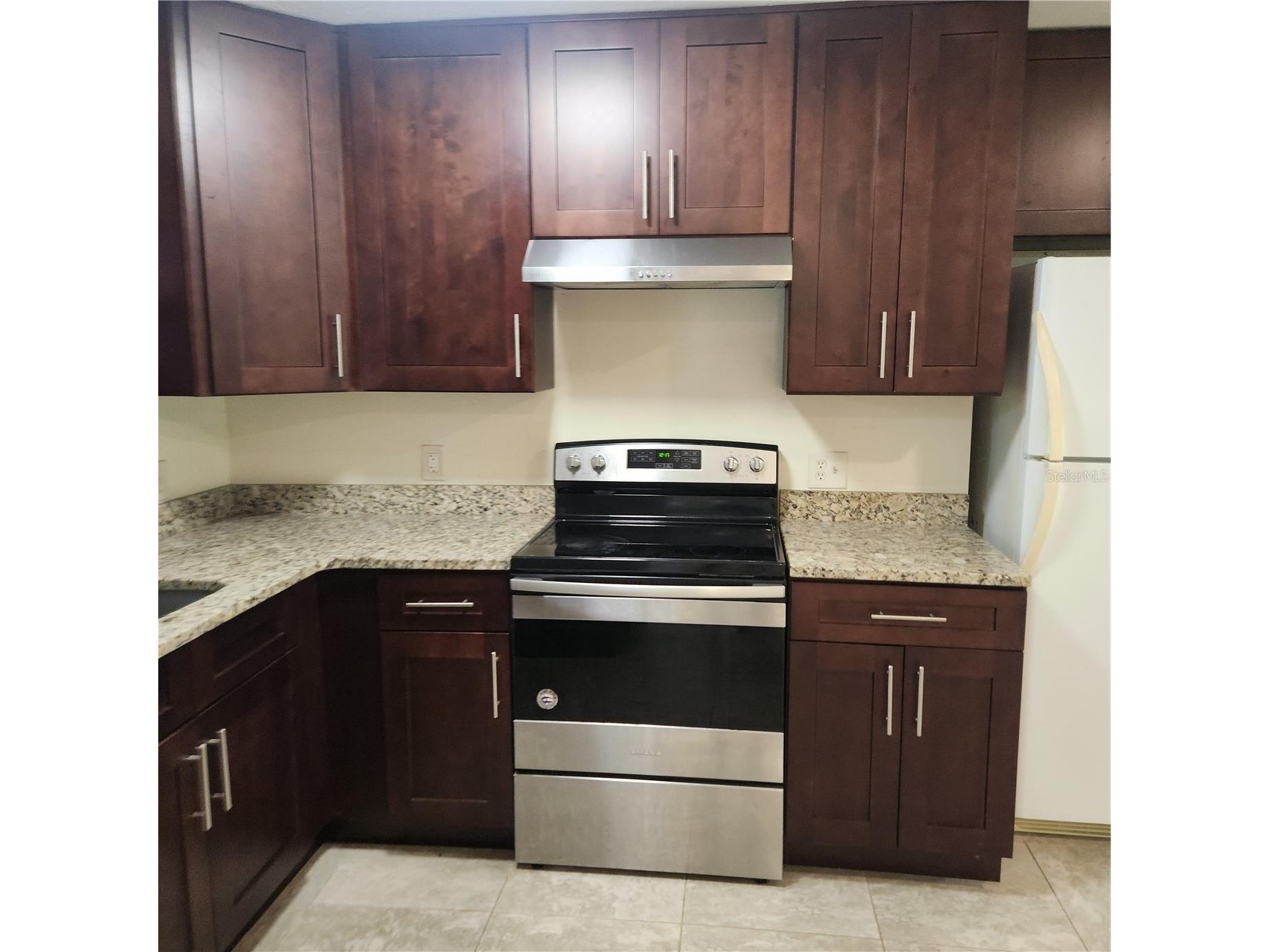 1317 Eagleview Drive Brandon FL 33510 TB8529022 image3