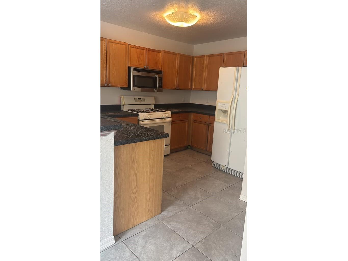 1317 Fettler Way Winter Garden FL 34787 S5153684 image3