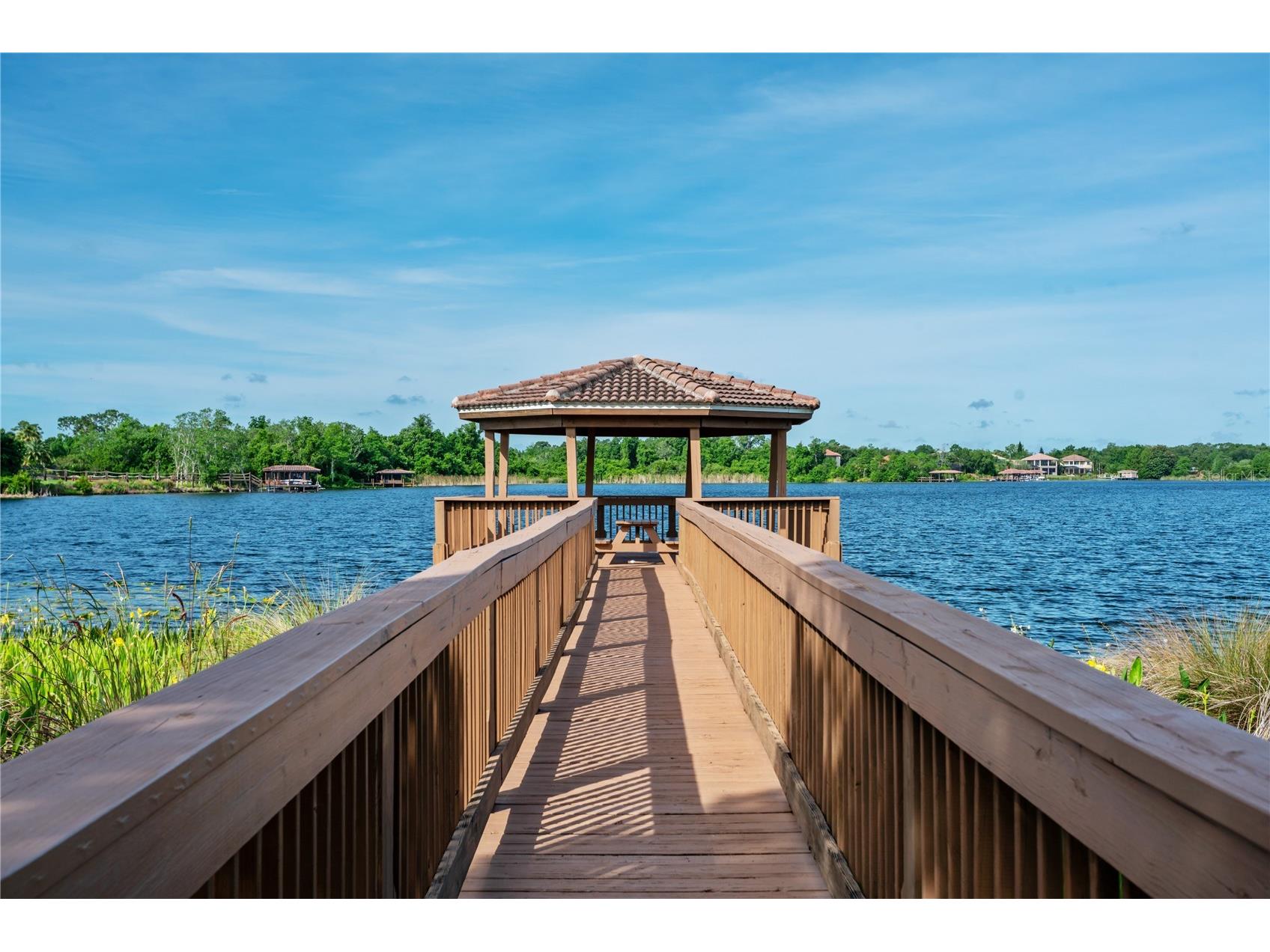 1317 Glenheather Drive Windermere FL 34786 O6406551 image33
