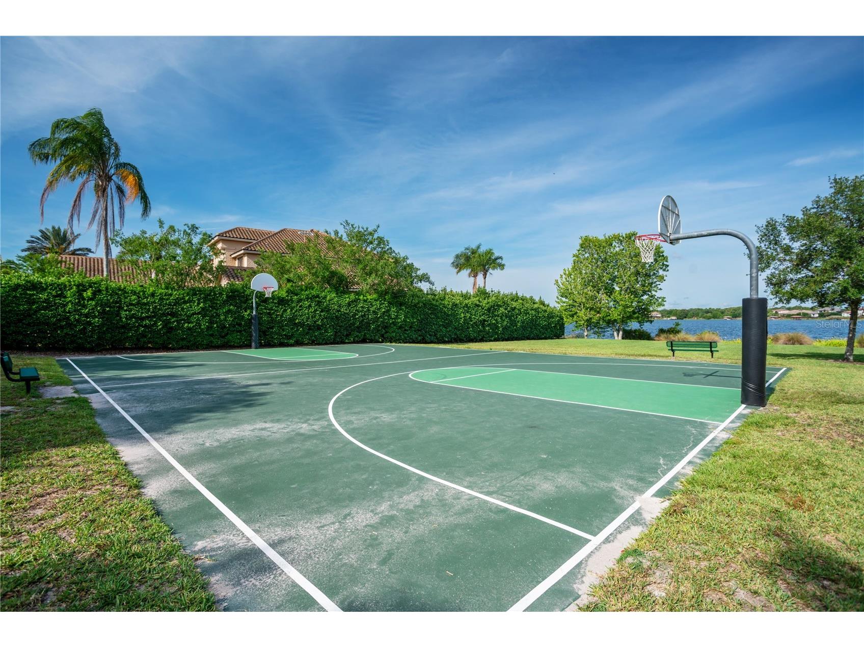 1317 Glenheather Drive Windermere FL 34786 O6406551 image36