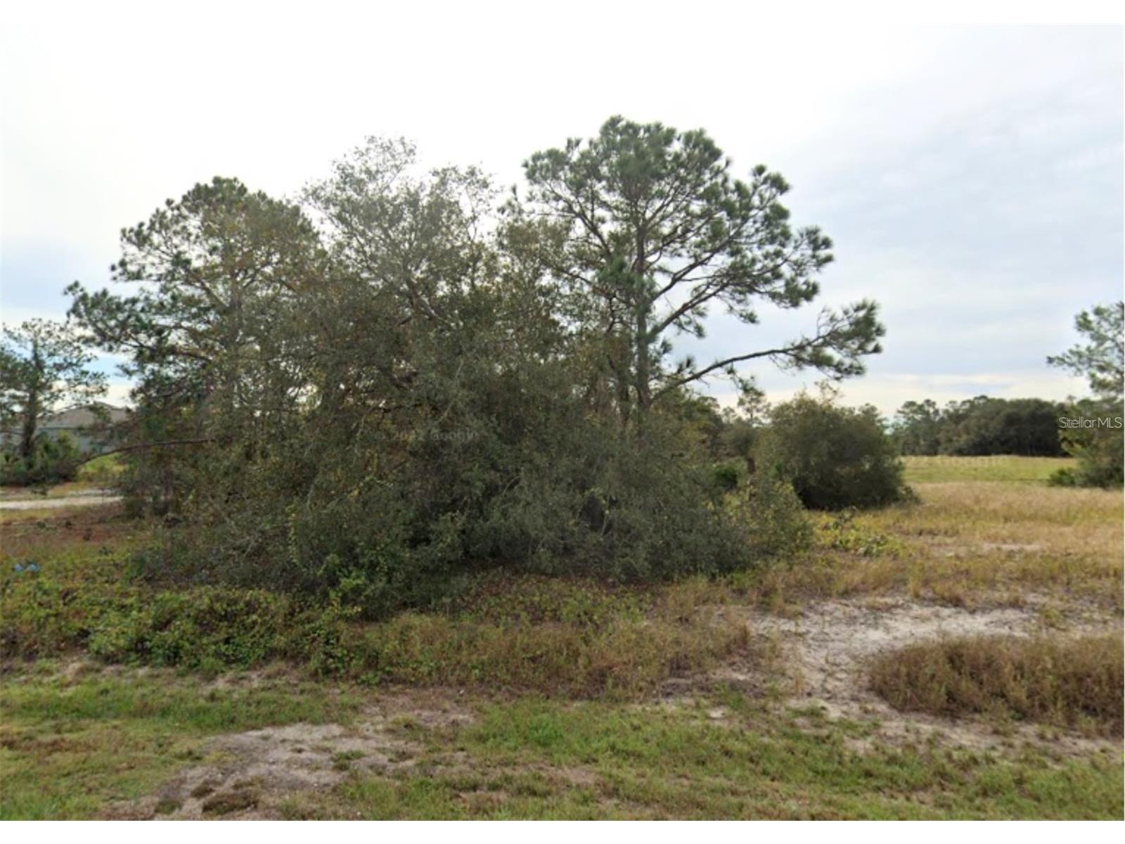 1317 Hillsborough Lane Kissimmee FL 34759 O6390347 image3