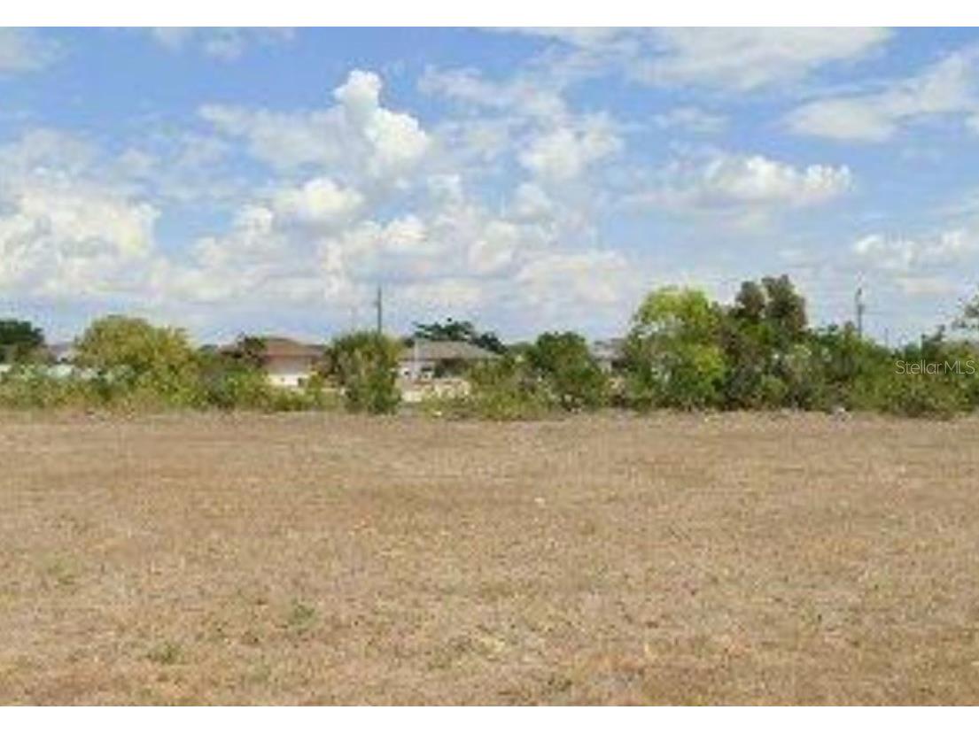 1317 NE 1st Avenue Cape Coral FL 33909 O6117440 image1