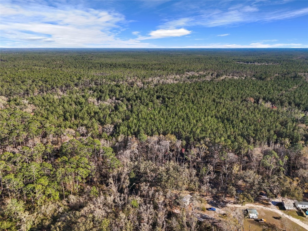 1317 NE Drew Road Lake City FL 32055 GC529068 image26