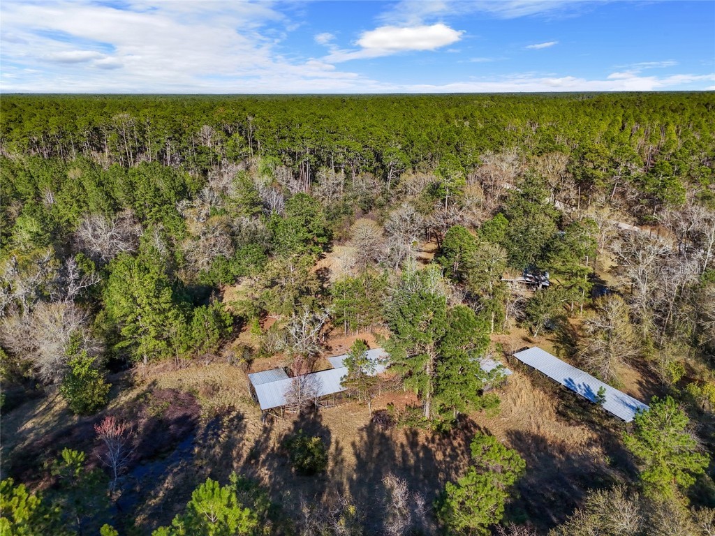 1317 NE Drew Road Lake City FL 32055 GC529068 image3