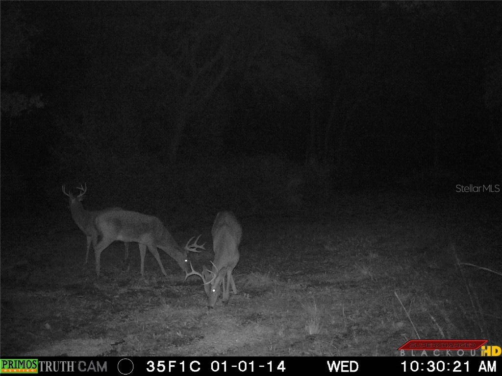 1317 NE Drew Road Lake City FL 32055 GC529068 image30