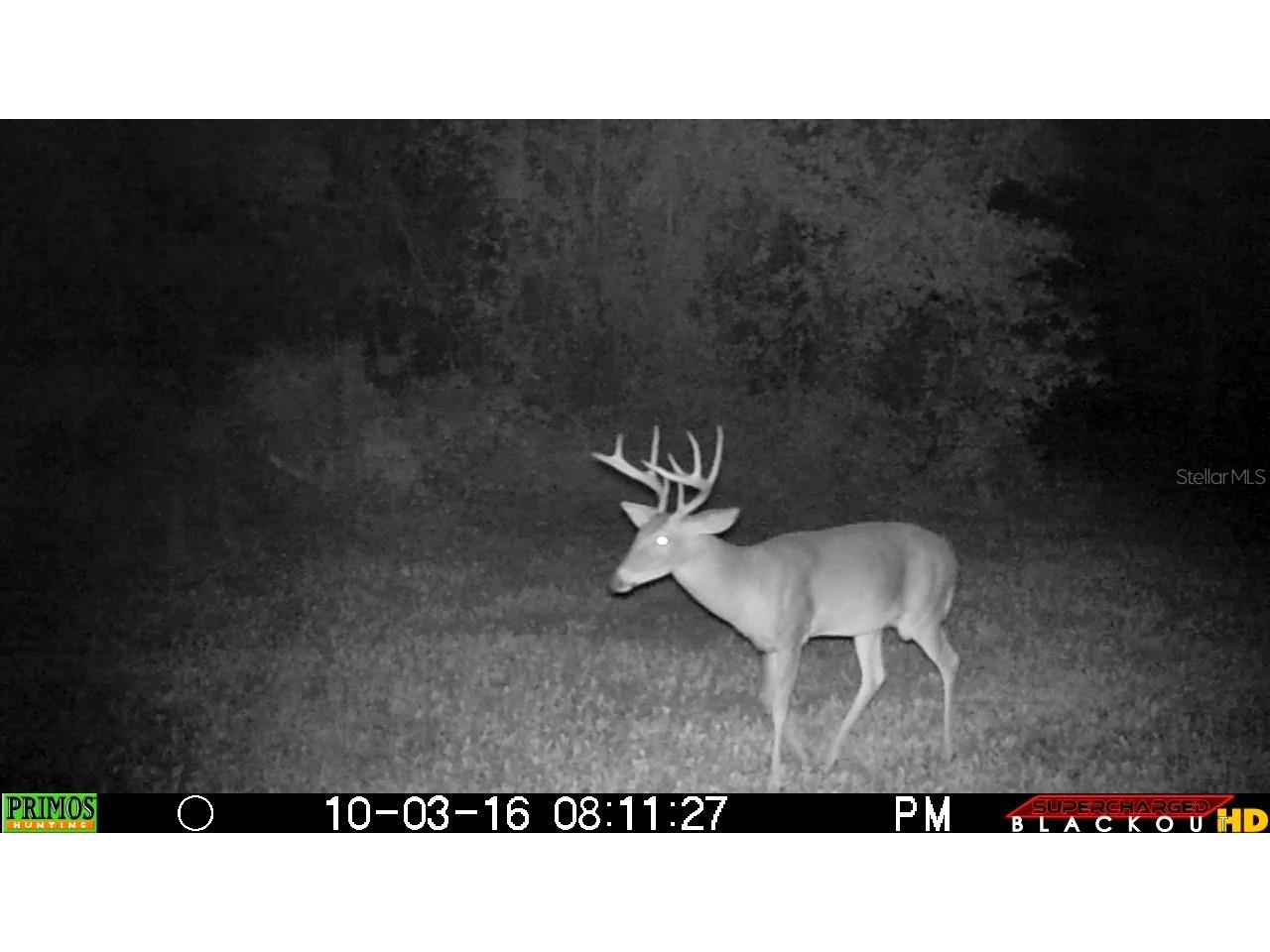 1317 NE Drew Road Lake City FL 32055 GC529068 image31