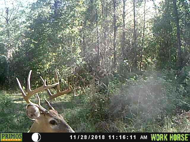 1317 NE Drew Road Lake City FL 32055 GC529068 image32