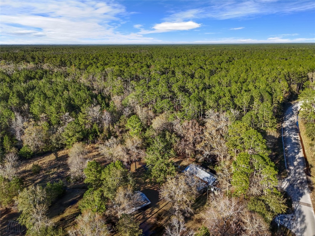 1317 NE Drew Road Lake City FL 32055 GC529068 image6