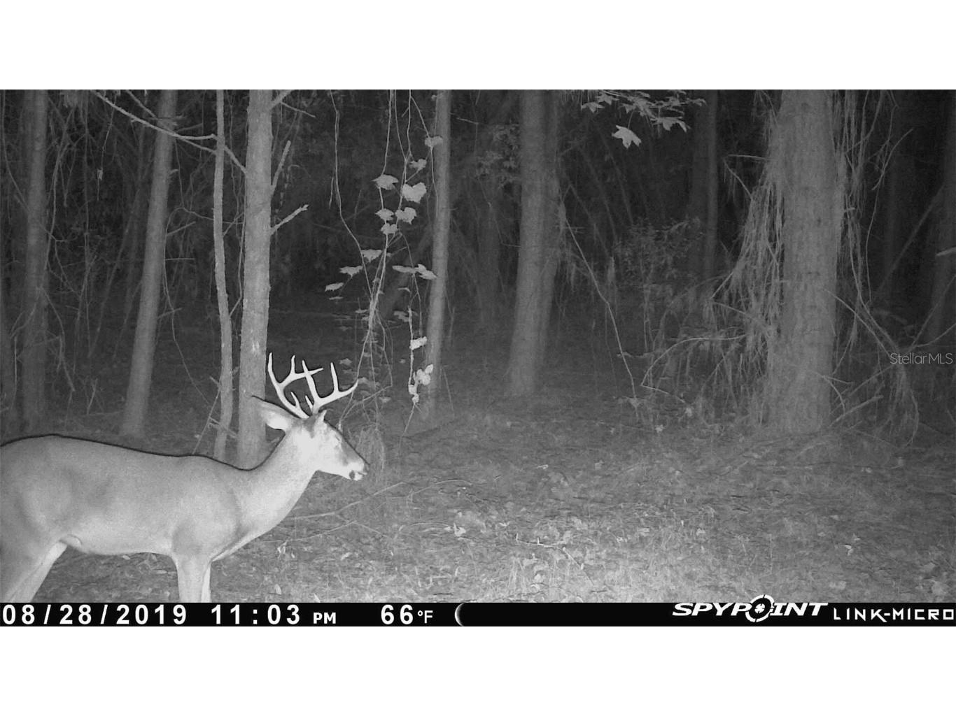 1317 NE Drew Road Lake City FL 32055 GC529068 image8