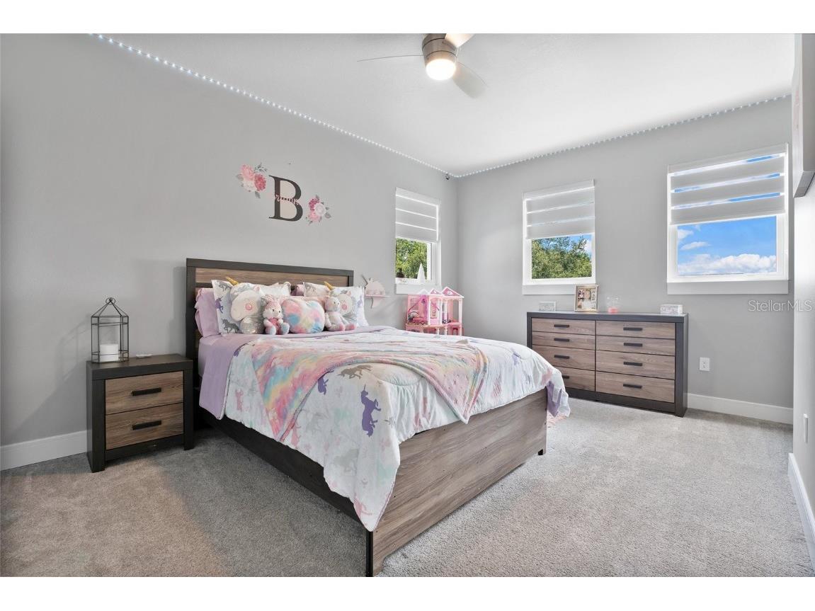 1317 Spring Lake Terrace Ocoee FL 34761 O6136621 image47