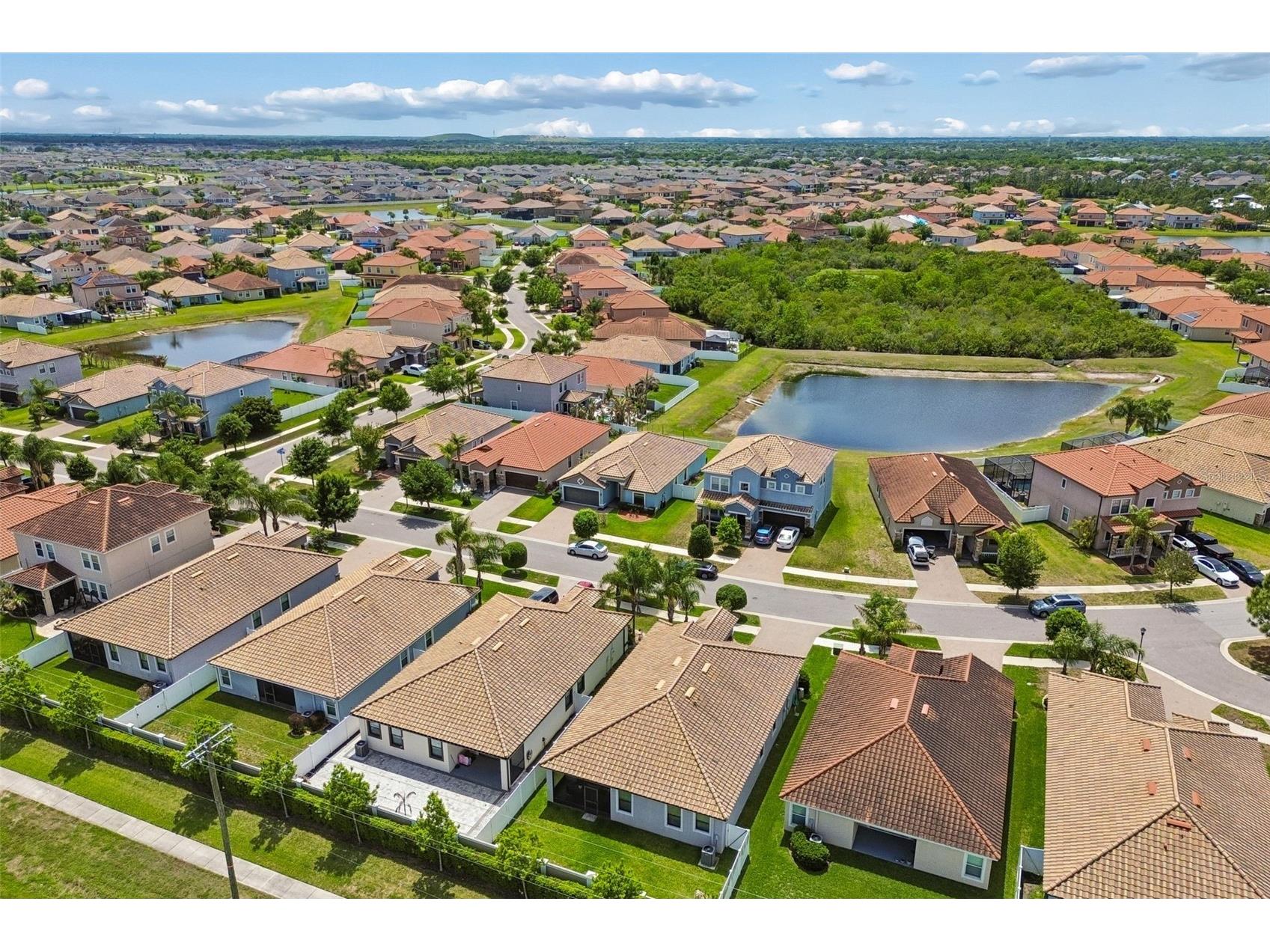 13170 Green Violet Drive Riverview FL 33579 TB8498727 image43