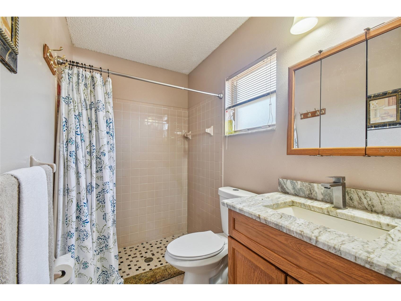 13170 Pirate Lane Spring Hill FL 34609 TB8459524 image38