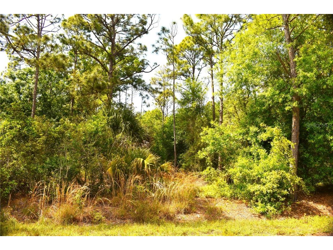 13173 Caloosa Drive Punta Gorda FL 33955 C7489579 image1