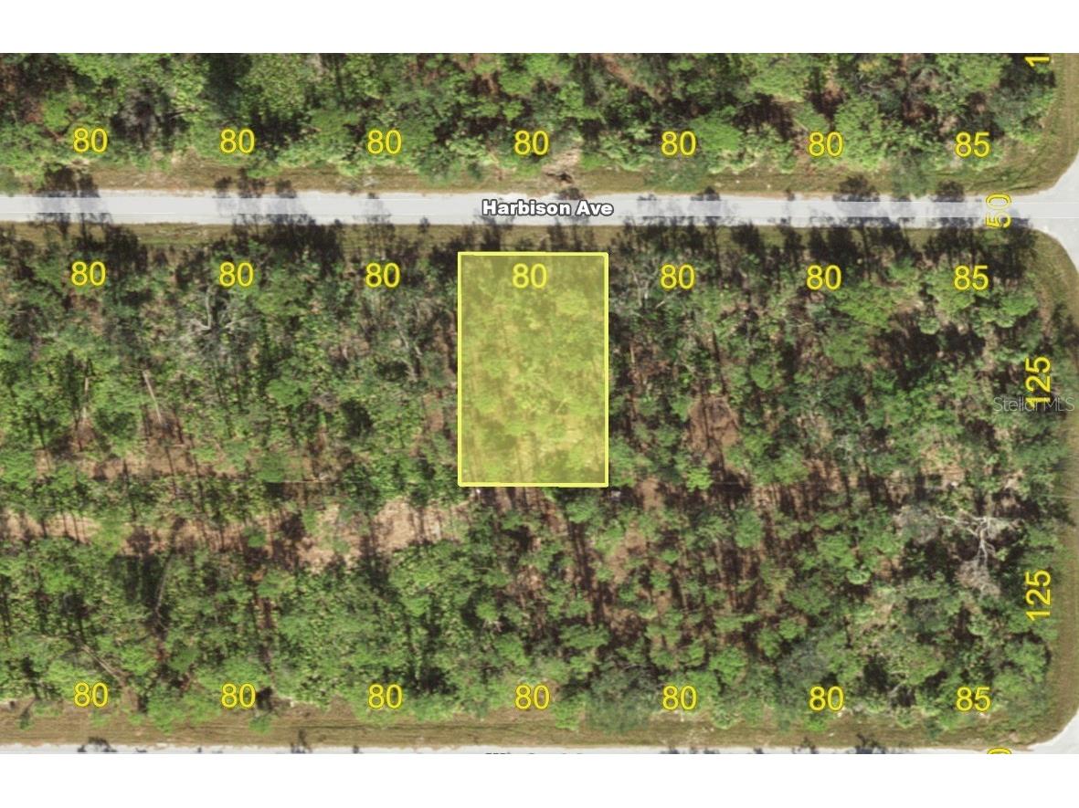 13173 Harbison Avenue Port Charlotte FL 33953 C7518793 image1