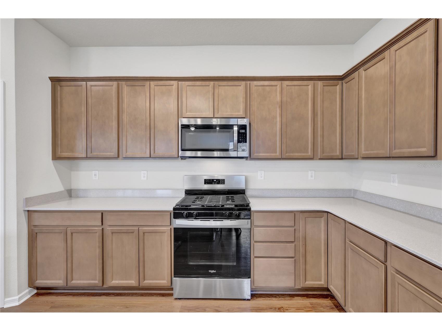 13175 Sunny Retreat Lane Winter Garden FL 34787 O6420975 image11