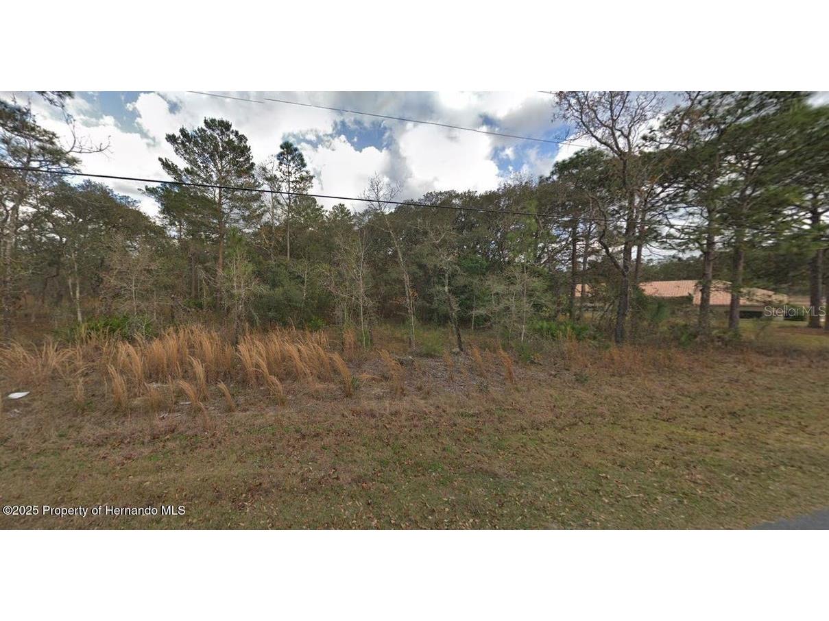 13176 Kildeer Road Weeki Wachee FL 34614 W7877412 image1