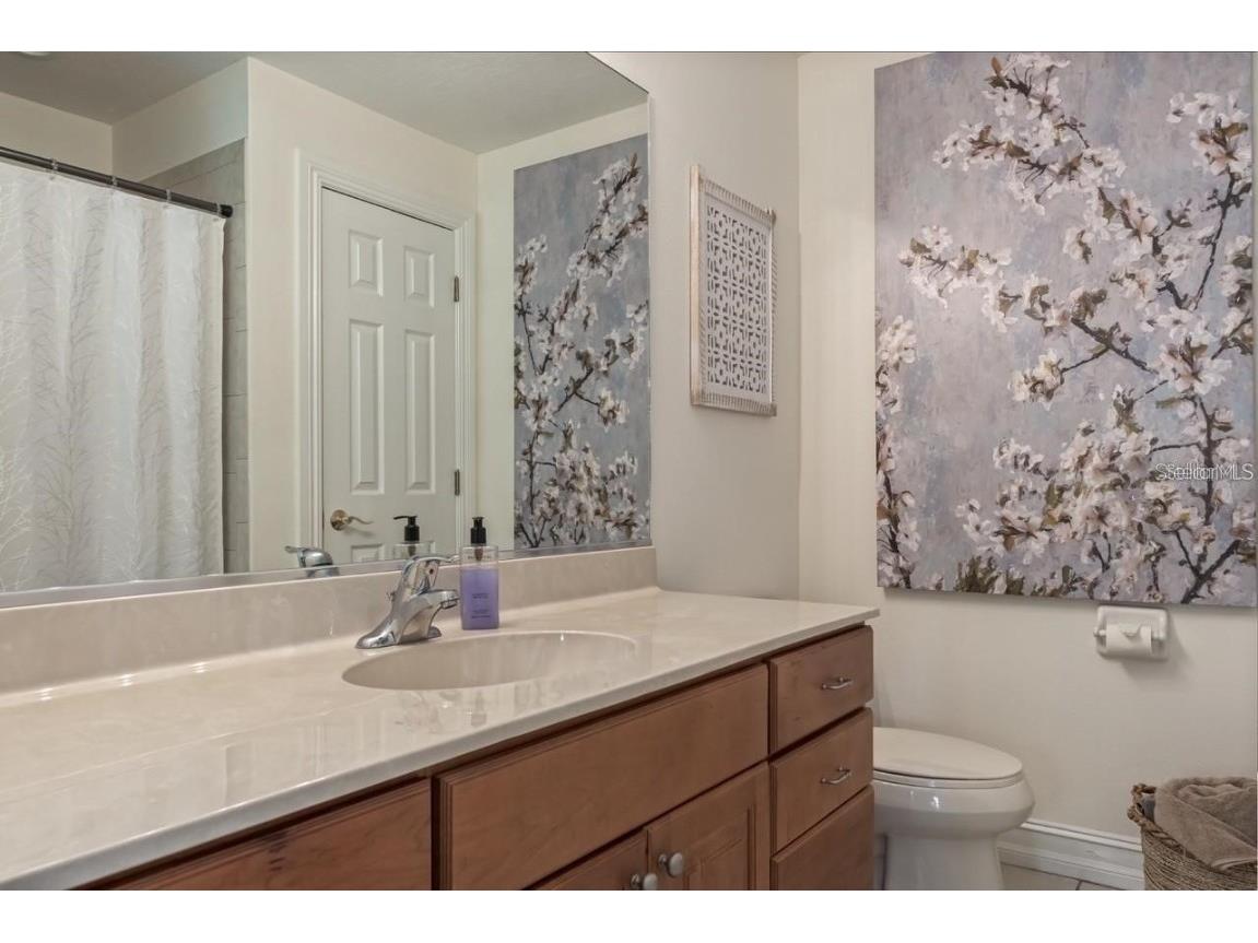 1318 3rd Street Circle E Palmetto FL 34221 A4641821 image9