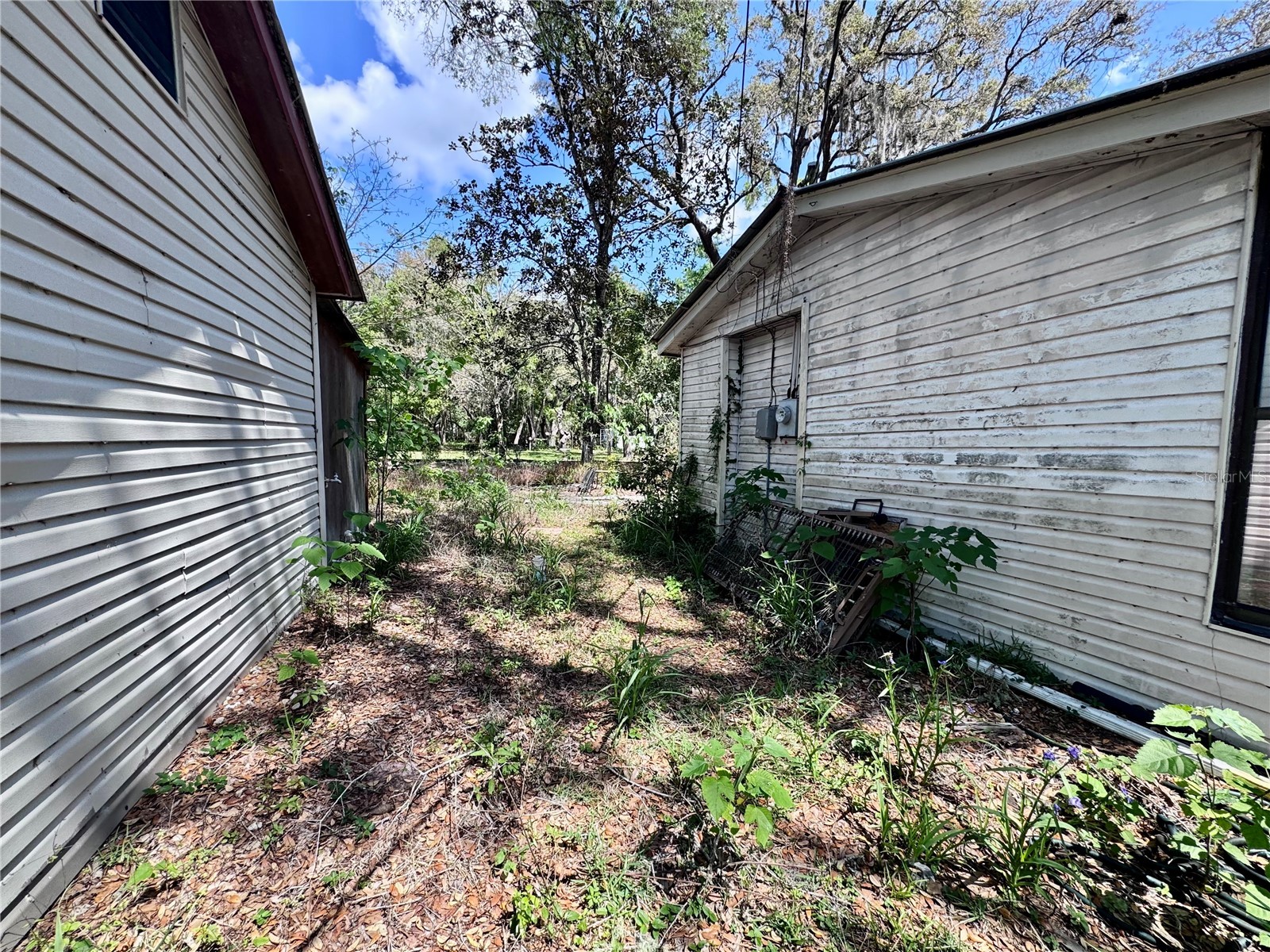 1318 Andrew Street Inverness FL 34453 W7885028 image25