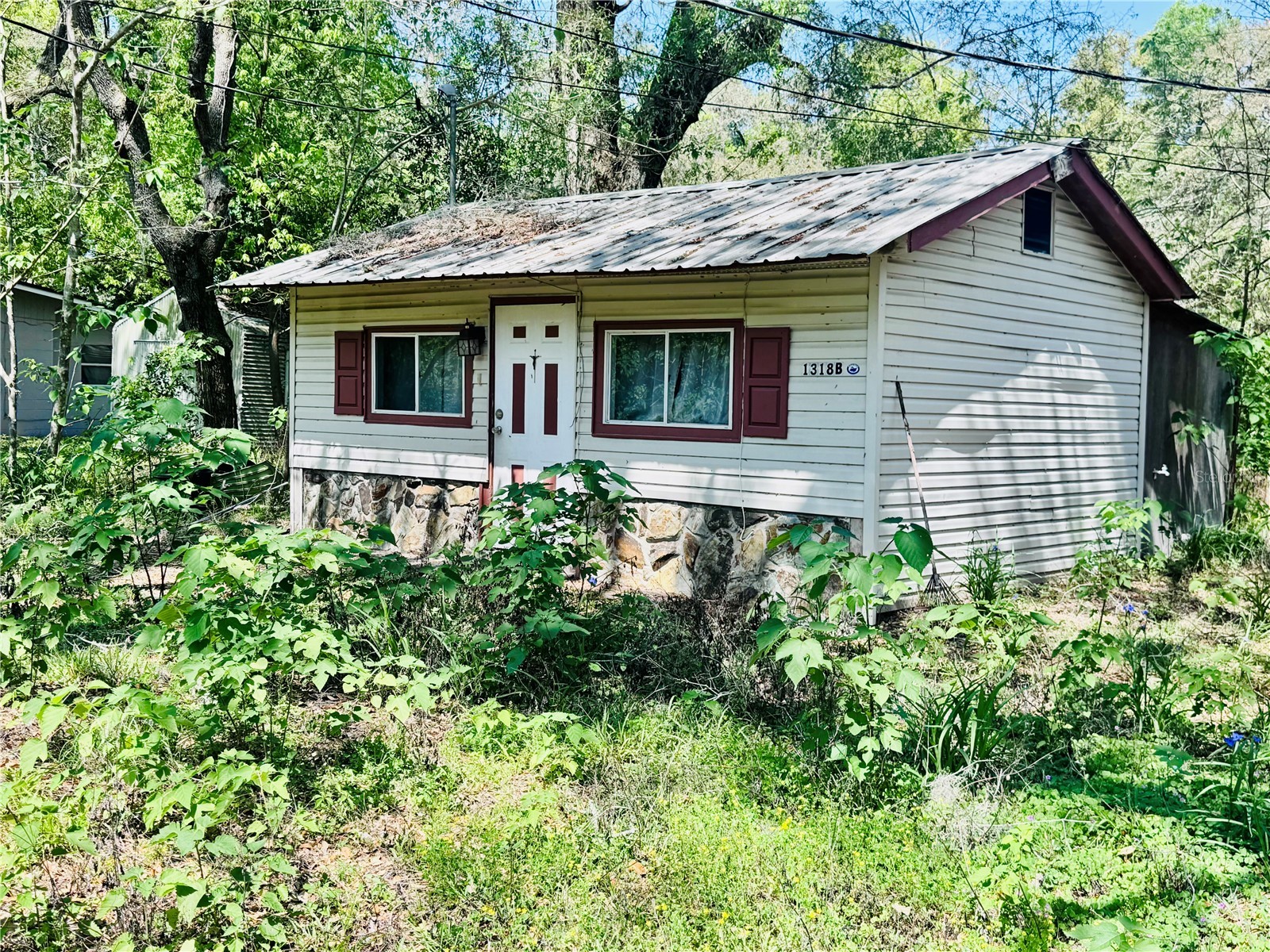 1318 Andrew Street Inverness FL 34453 W7885028 image4