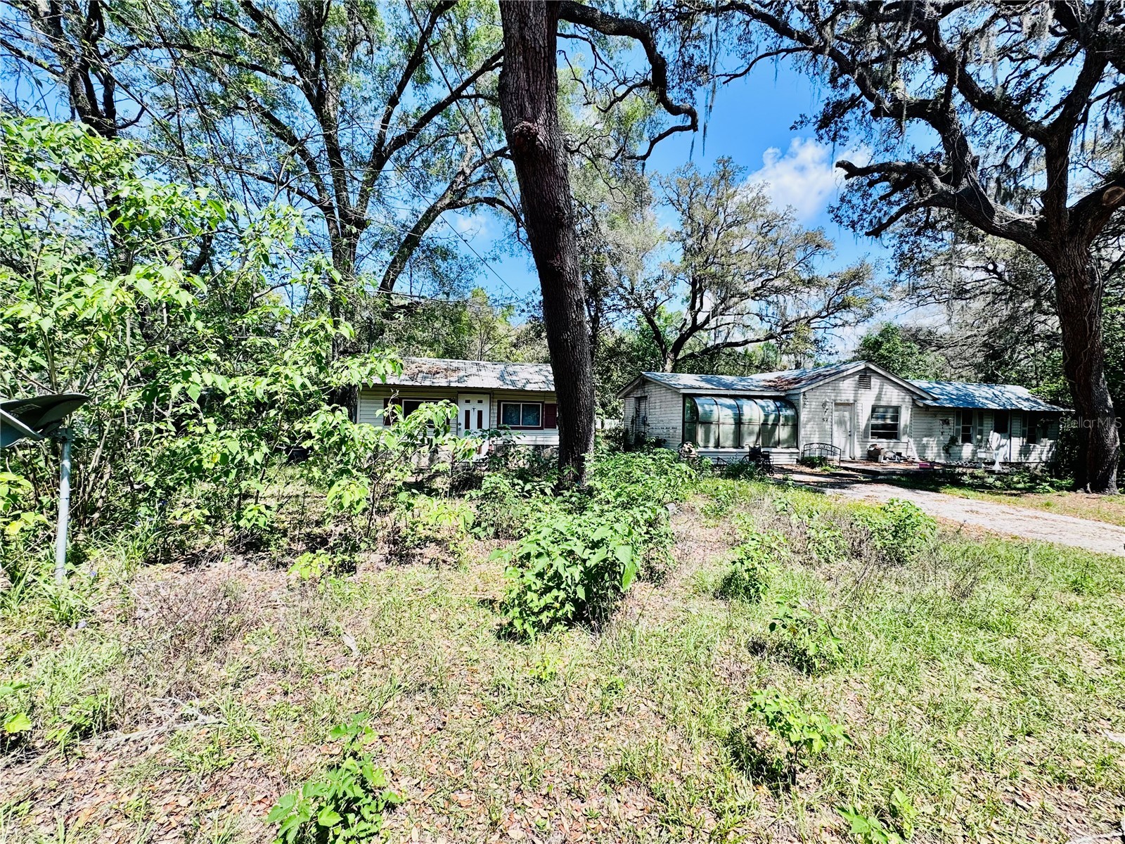 1318 Andrew Street Inverness FL 34453 W7885028 image5