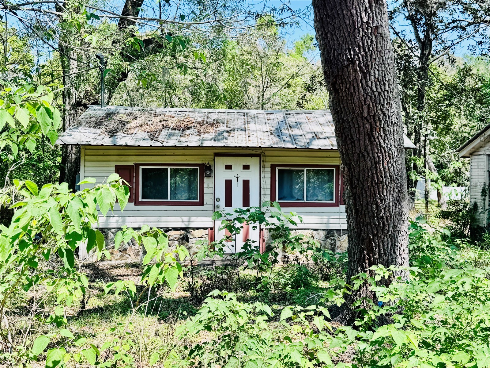 1318 Andrew Street Inverness FL 34453 W7885028 image6