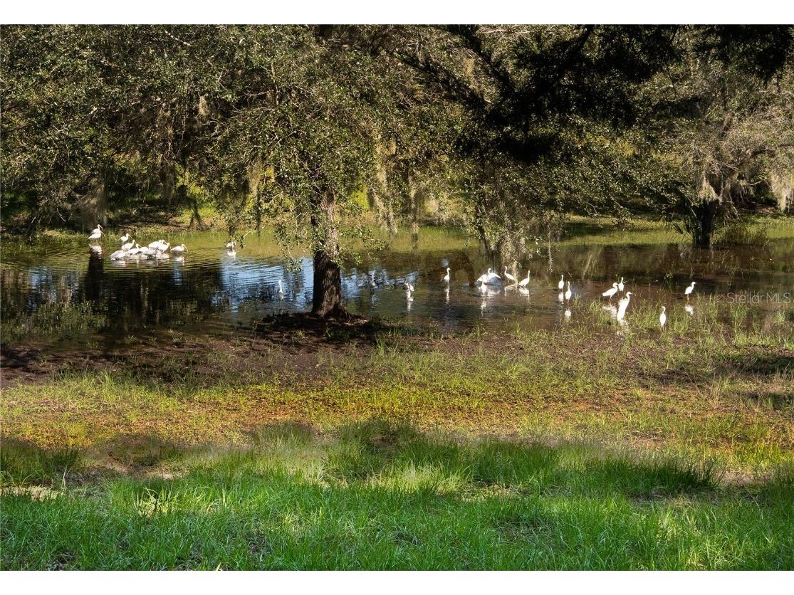 1318 Asher Court Ormond Beach FL 32174 FC313470 image50