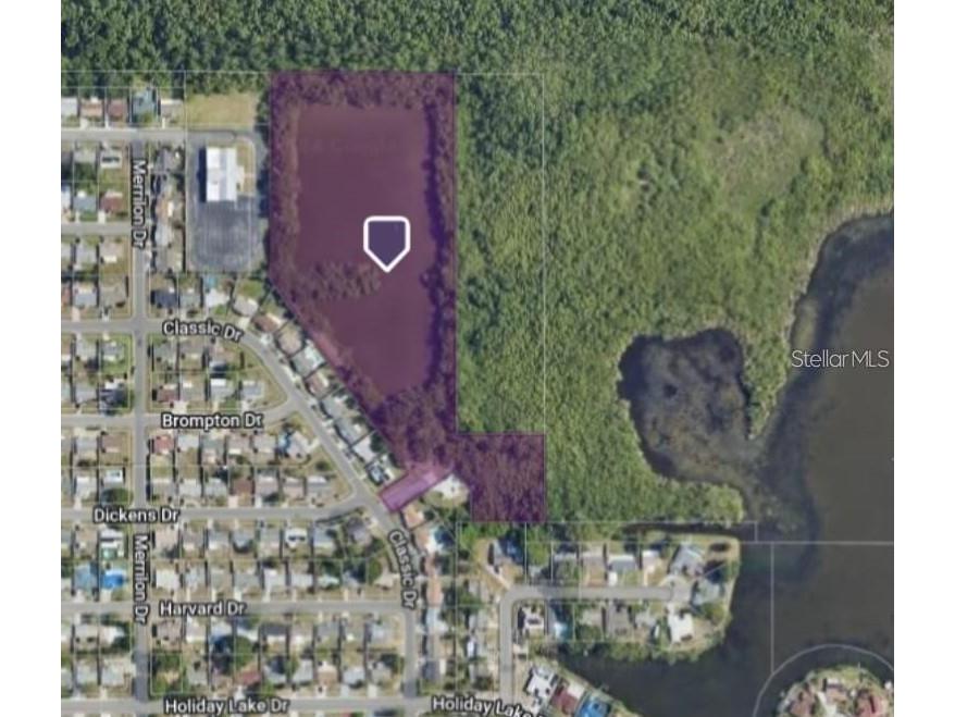 1318 Classic Drive Holiday FL 34691 - LAKE NASH TB8300199 image4