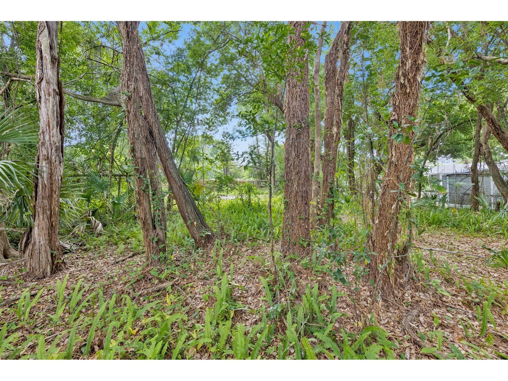 1318 Coletta Drive Orlando FL 32807 O6413603 image10