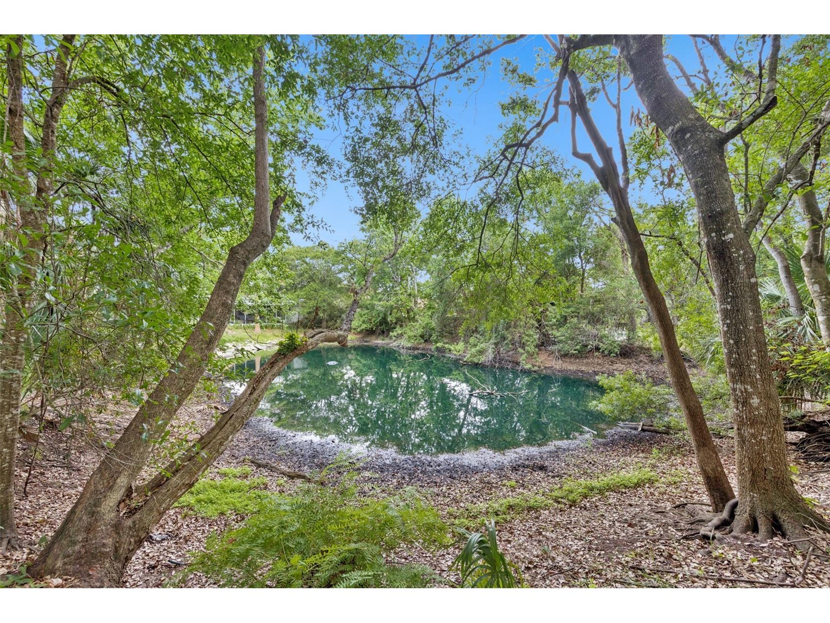 1318 Coletta Drive Orlando FL 32807 O6413603 image2