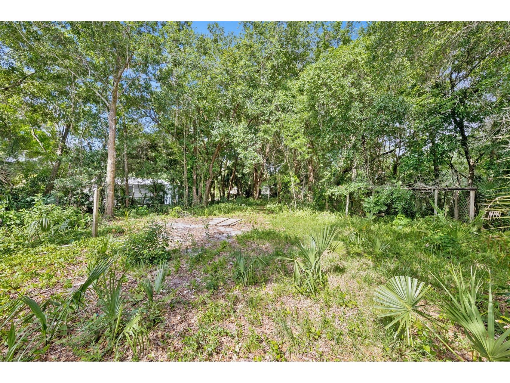 1318 Coletta Drive Orlando FL 32807 O6413603 image3