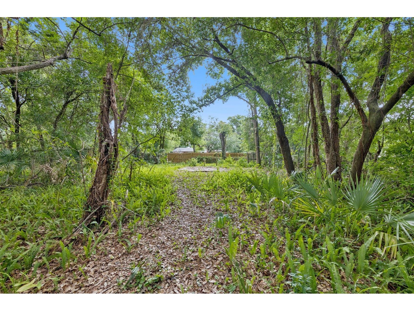 1318 Coletta Drive Orlando FL 32807 O6413603 image4