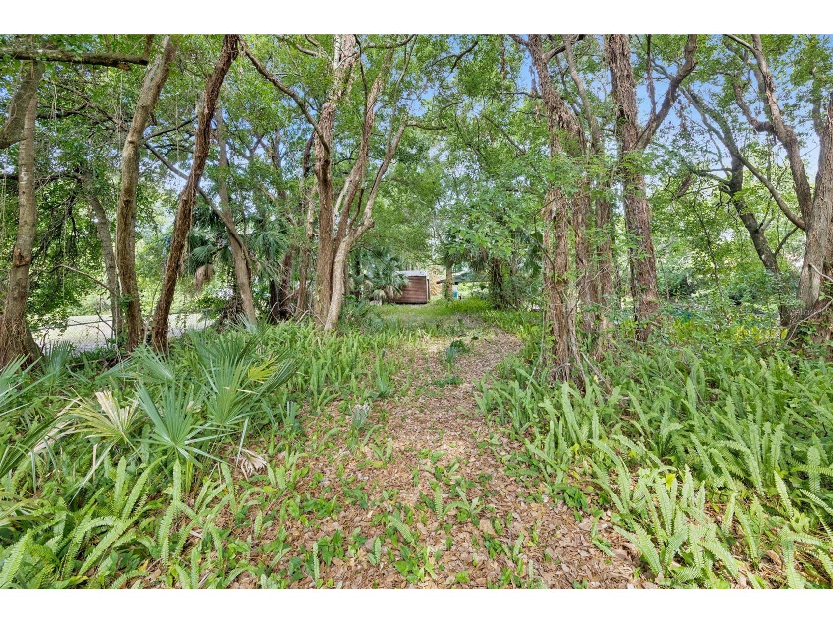 1318 Coletta Drive Orlando FL 32807 O6413603 image5