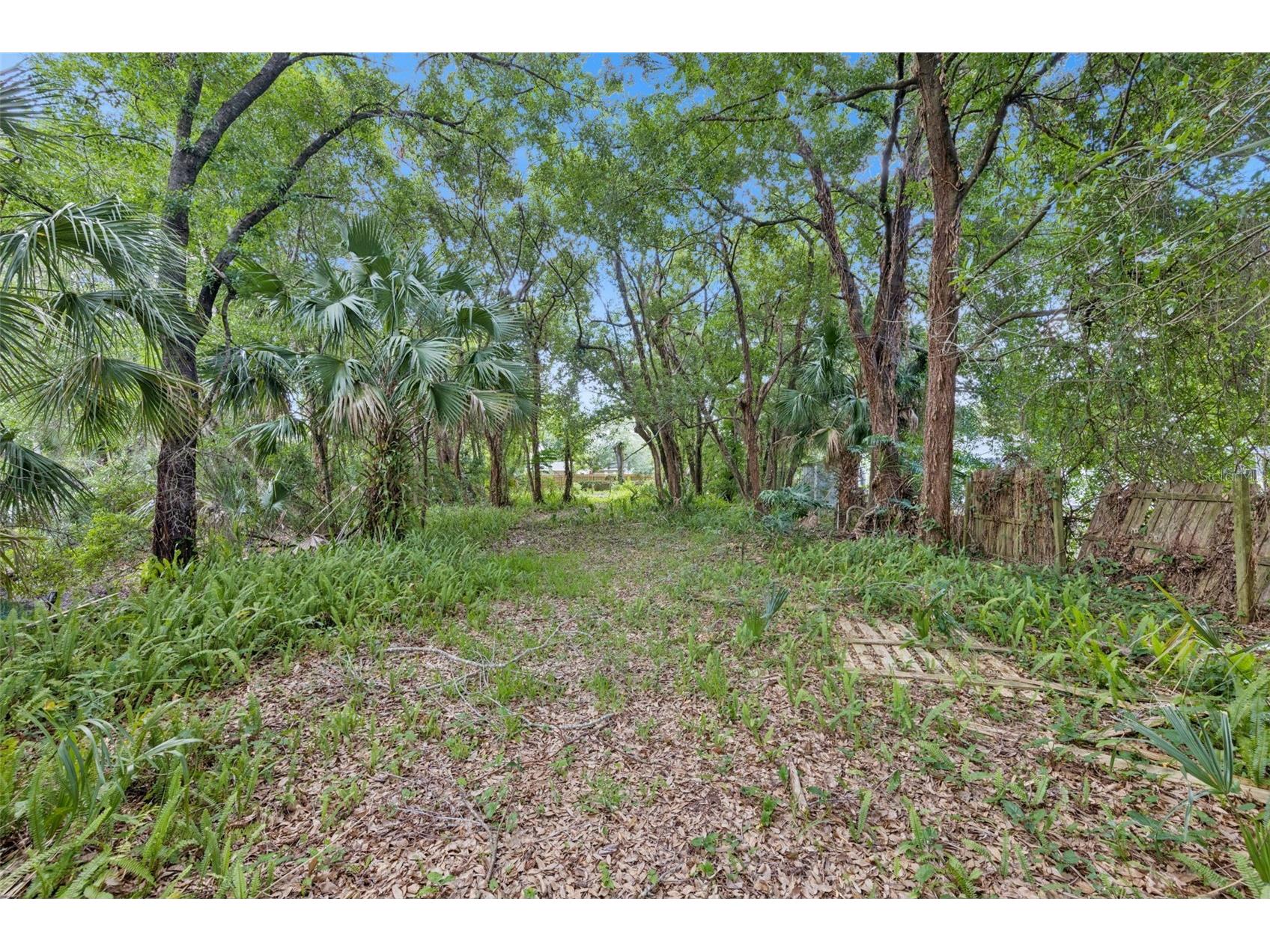 1318 Coletta Drive Orlando FL 32807 O6413603 image6
