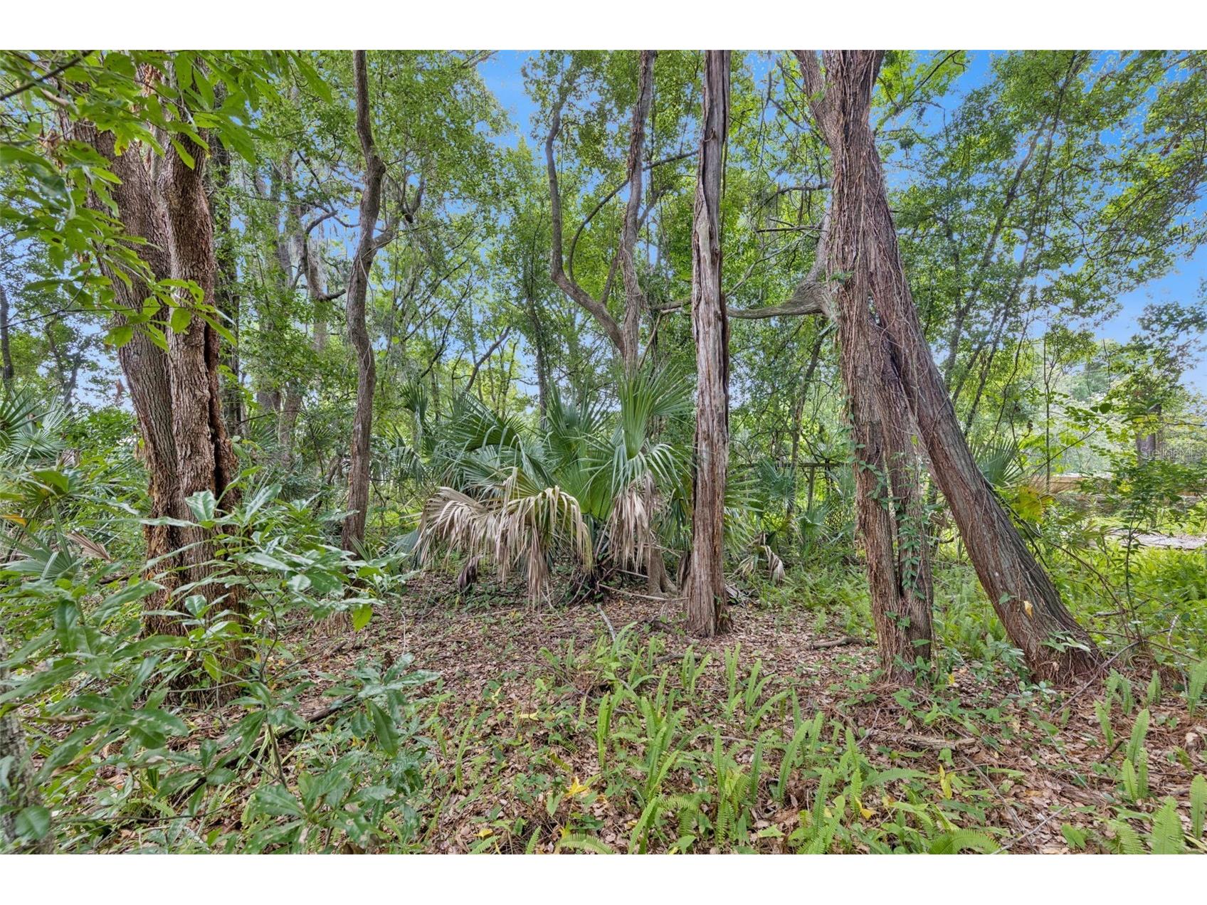 1318 Coletta Drive Orlando FL 32807 O6413603 image8