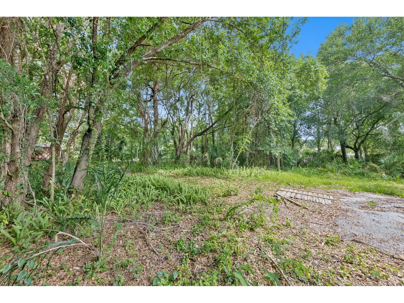1318 Coletta Drive Orlando FL 32807 O6413603 image9