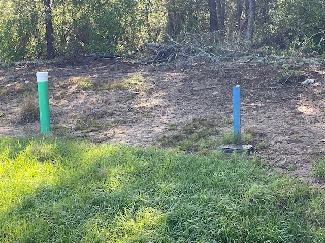 1318 Homosassa Drive Kissimmee FL 34759 O6397765 image1