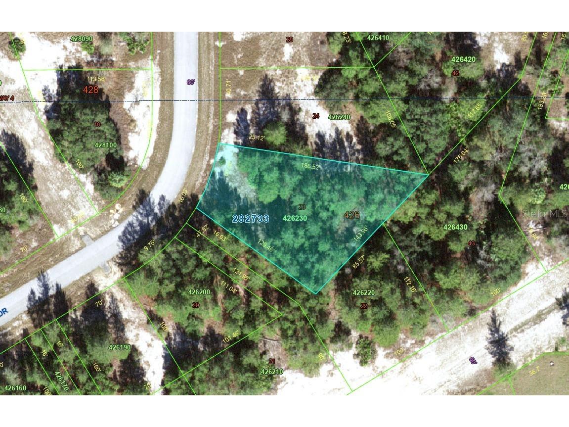 1318 Homosassa Drive Kissimmee FL 34759 O6397765 image2