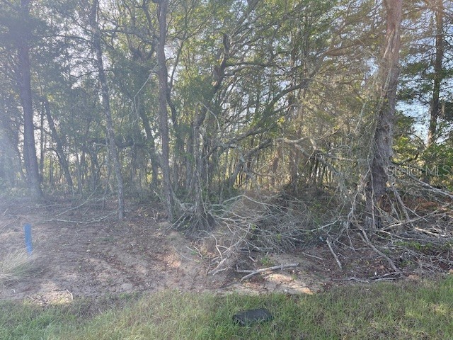 1318 Homosassa Drive Kissimmee FL 34759 O6397765 image5
