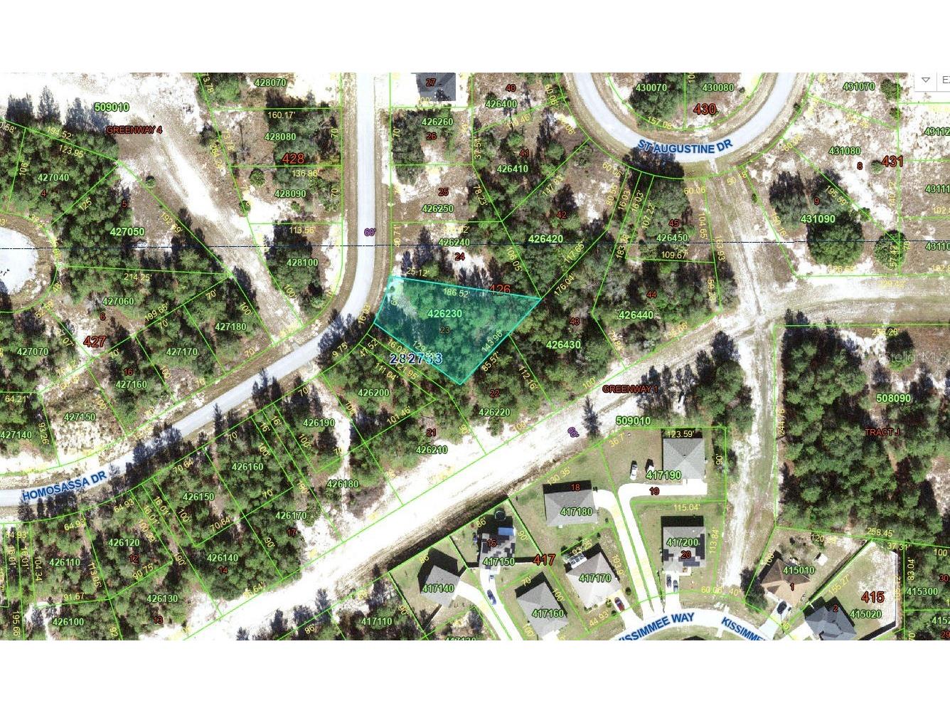 1318 Homosassa Drive Kissimmee FL 34759 O6397765 image6