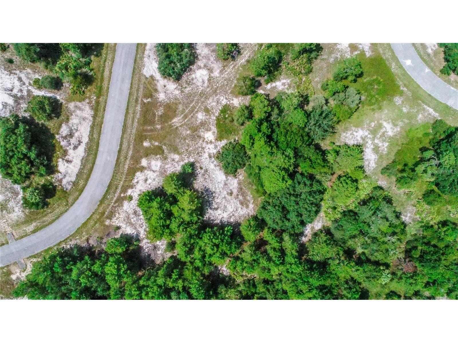 1318 Homosassa Drive Kissimmee FL 34759 O6397765 image7