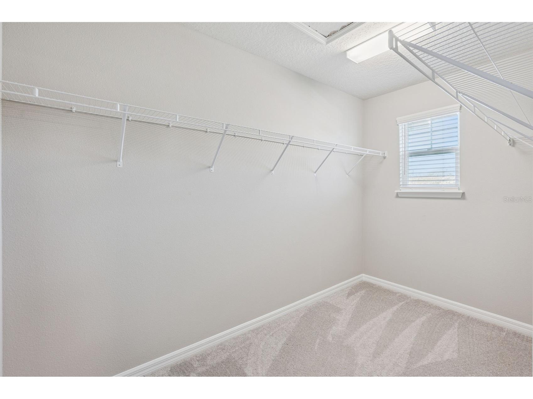 1318 Painted Bunting Avenue Oakland FL 34787 O6389319 image15