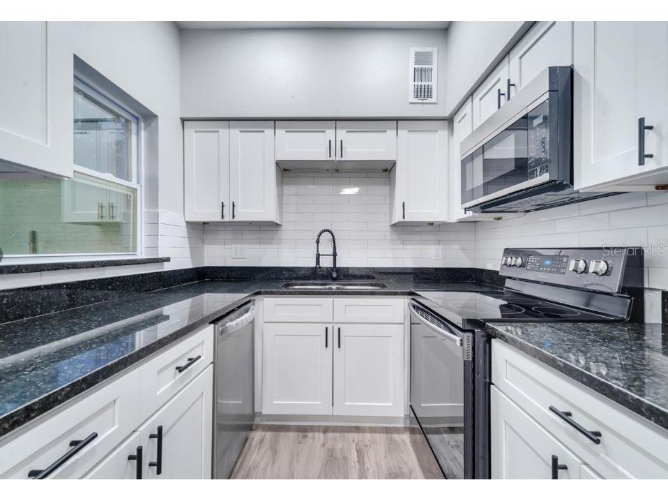 1318 Terre Cia Avenue Orlando FL 32807 S5153787 image9
