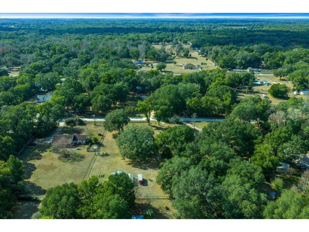 13181 NE 39th Terrace Anthony FL 32617 OM717418 image10